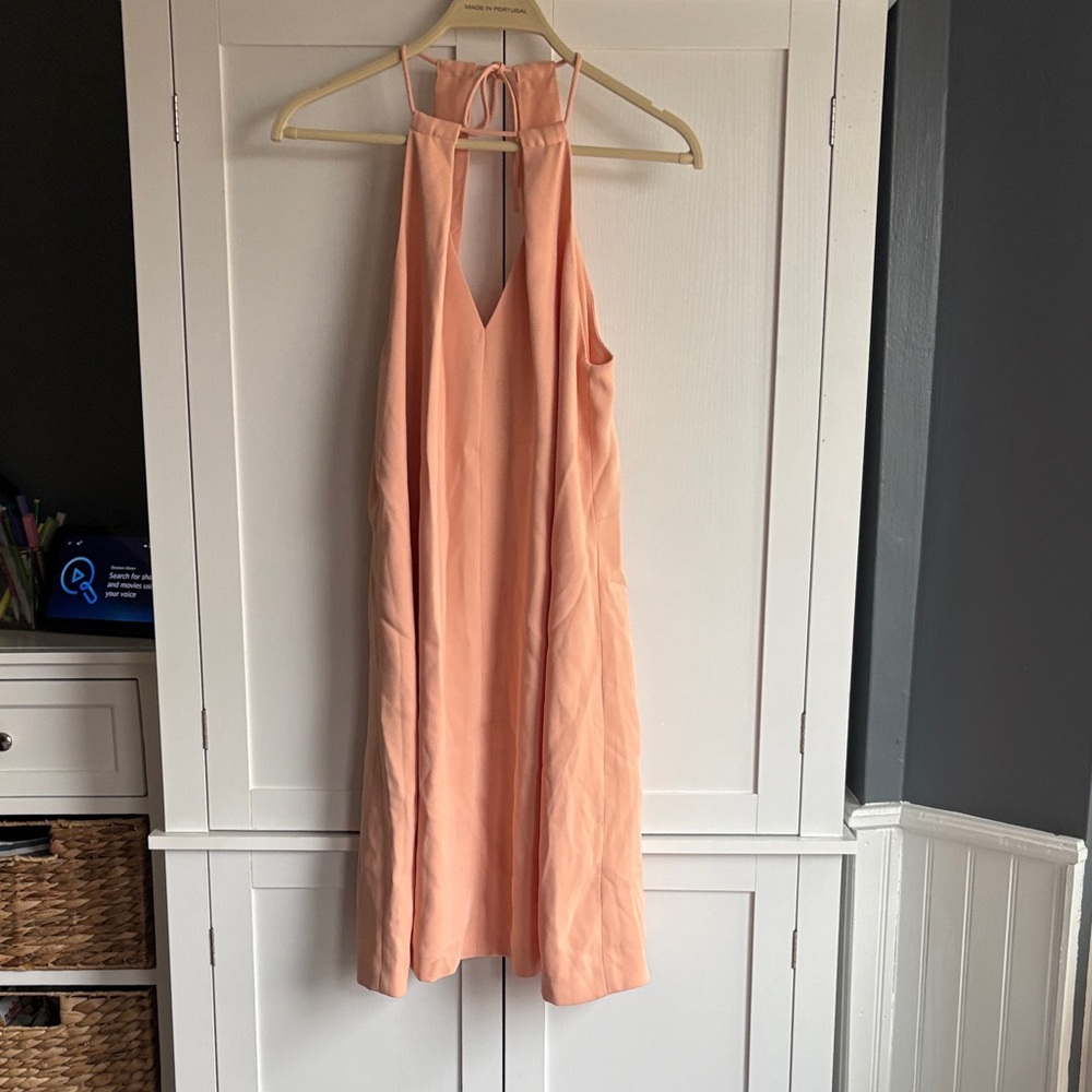 Zara Backless Peach Dress